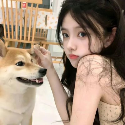 黑社会的我成为了高中生